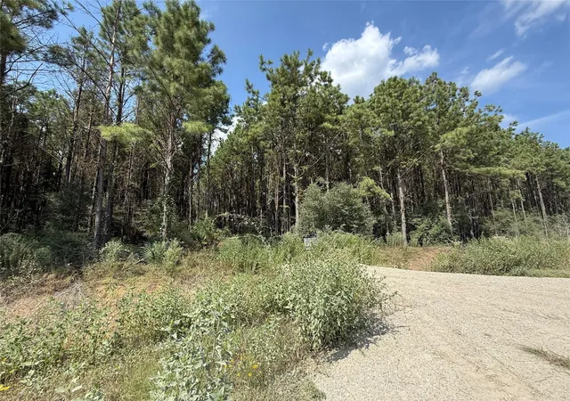 Photo 4 of Land for sale at 5700 Black Cat Rd, Sour Lake, TX 77659 | MLS# 97333773 | Listing updated on 2026-08-27
