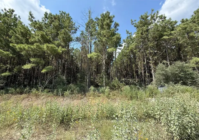 Photo 6 of Land for sale at 5700 Black Cat Rd, Sour Lake, TX 77659 | MLS# 97333773 | Listing updated on 2026-08-27