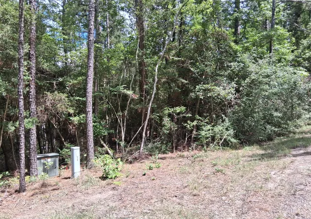9th image of 0001 Sugarberry Dr, Brookeland, TX 75931 | MLS# 89991347