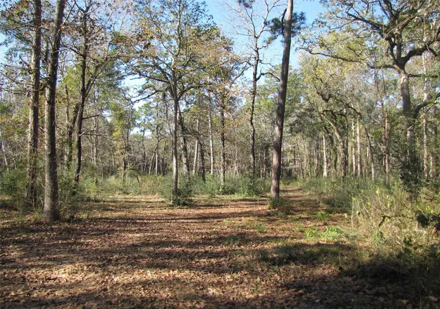1st image of 32602 Dogwood Trl, Magnolia, TX 77355 | MLS# 71733771