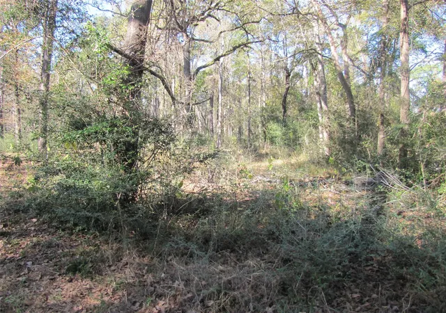 2nd image of 32602 Dogwood Trl, Magnolia, TX 77355 | MLS# 71733771