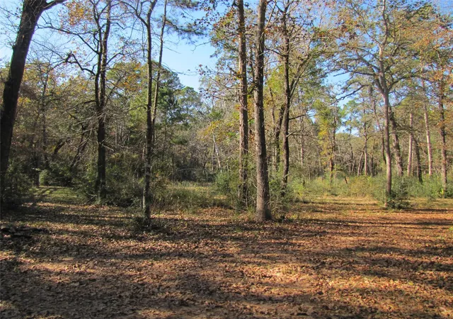 Photo 3 of Land for sale at 32602 Dogwood Trl, Magnolia, TX 77355 | MLS# 71733771 | Listing updated on 2026-07-10