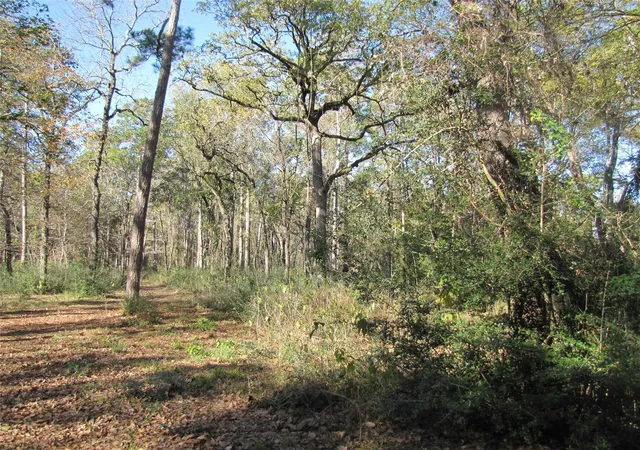 4th image of 32602 Dogwood Trl, Magnolia, TX 77355 | MLS# 71733771