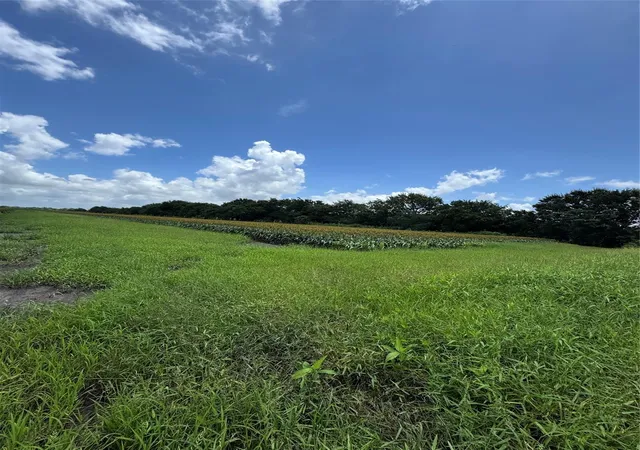 Photo 2 of Land for sale at 000 Hartledge Rd, Rosenberg, TX 77471 | MLS# 87747146 | Listing updated on 2026-06-19