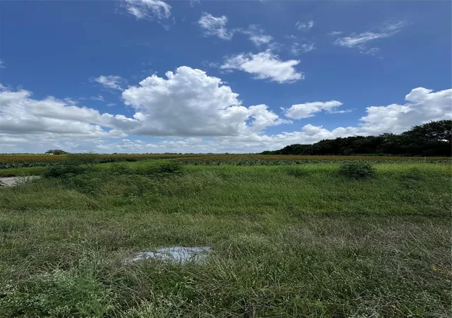 Photo 3 of Land for sale at 000 Hartledge Rd, Rosenberg, TX 77471 | MLS# 87747146 | Listing updated on 2026-06-19
