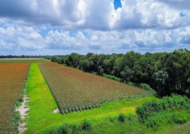 Photo 4 of Land for sale at 000 Hartledge Rd, Rosenberg, TX 77471 | MLS# 87747146 | Listing updated on 2026-06-19