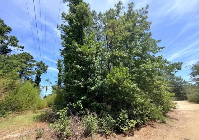 Photo 1 of Land for sale at 44 Ac Fm 3414, Jasper, TX 75951 | MLS# 22473317 | Listing updated on 2026-09-25