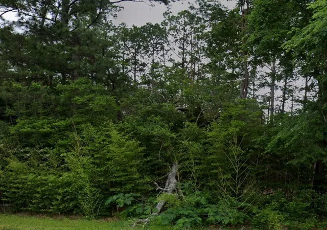 Photo 3 of Land for sale at 44 Ac Fm 3414, Jasper, TX 75951 | MLS# 22473317 | Listing updated on 2026-09-25