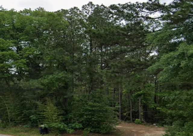Photo 3 of Land for sale at 44 Ac Fm 3414, Jasper, TX 75951 | MLS# 22473317 | Listing updated on 2026-09-25