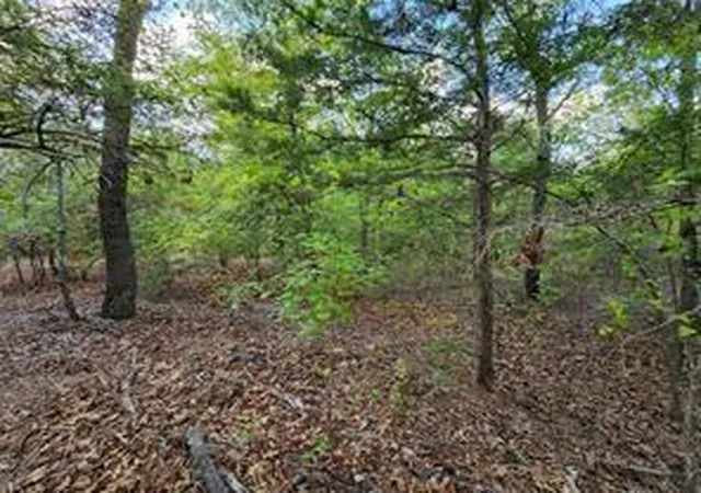 2nd image of 0 County Road 4710 Lot 465, Larue, TX 75770 | MLS# 65367856