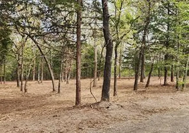 Photo 2 of Land for sale at 0 County Rd 4710 Lot 465, Larue, TX 75770 | MLS# 65367856 | Listing updated on 2026-06-27