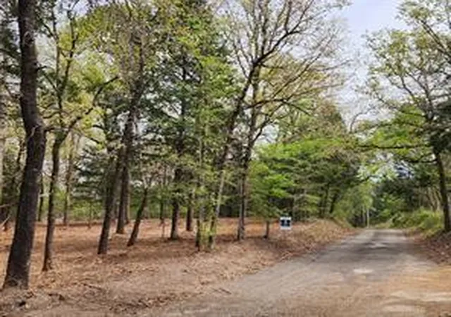 Photo 3 of Land for sale at 0 County Rd 4710 Lot 465, Larue, TX 75770 | MLS# 65367856 | Listing updated on 2026-06-27