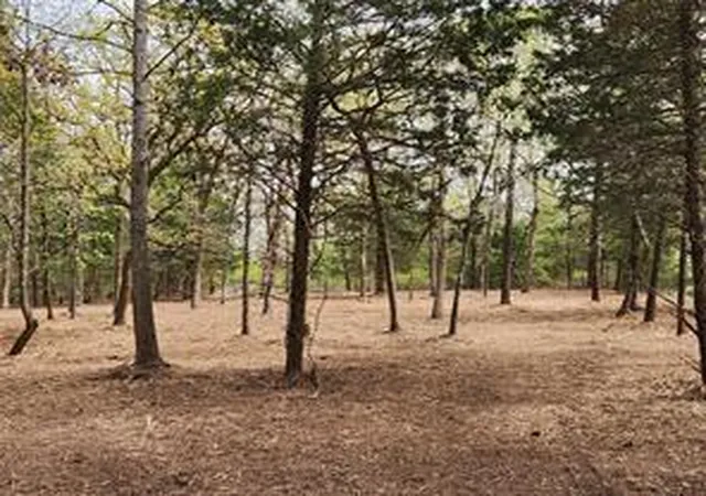 Photo 4 of Land for sale at 0 County Rd 4710 Lot 465, Larue, TX 75770 | MLS# 65367856 | Listing updated on 2026-06-27