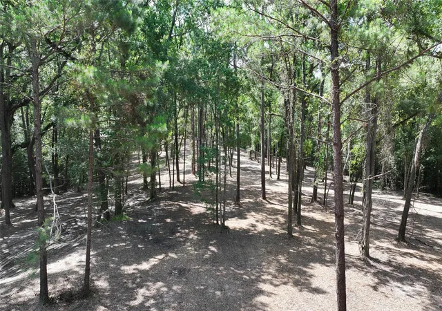 24th image of Tbd Hwy 190, Point Blank, TX 77364 | MLS# 75833065