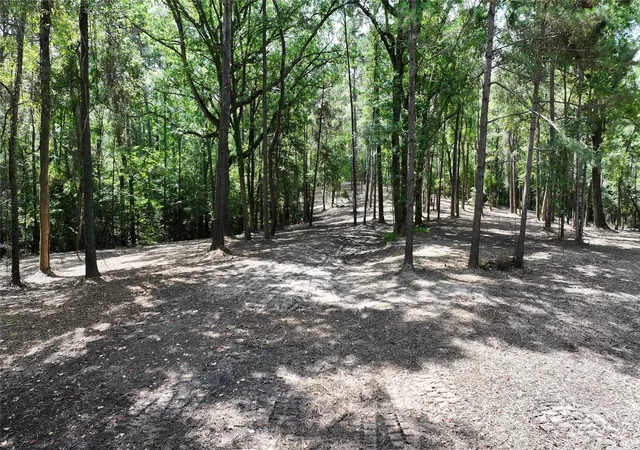 5th image of Tbd Hwy 190, Point Blank, TX 77364 | MLS# 75833065