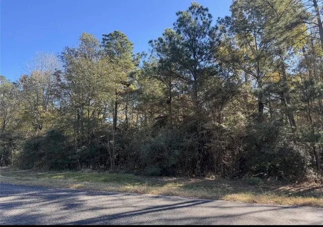 Photo 2 of Land for sale at 172 Grand View, Huntsville, TX 77340 | MLS# 58232025 | Listing updated on 2026-01-01