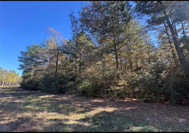 Photo 3 of Land for sale at 172 Grand View, Huntsville, TX 77340 | MLS# 58232025 | Listing updated on 2026-01-01