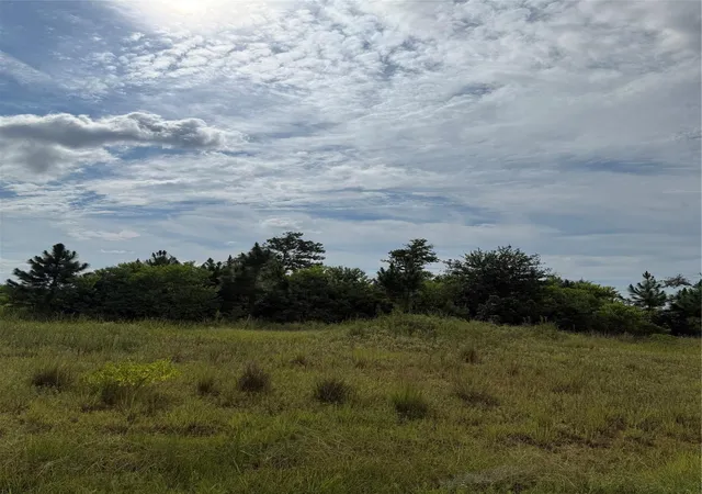 Photo 3 of Land for sale at 298 Road 5601, Cleveland, TX 77327 | MLS# 94544197 | Listing updated on 2026-05-24