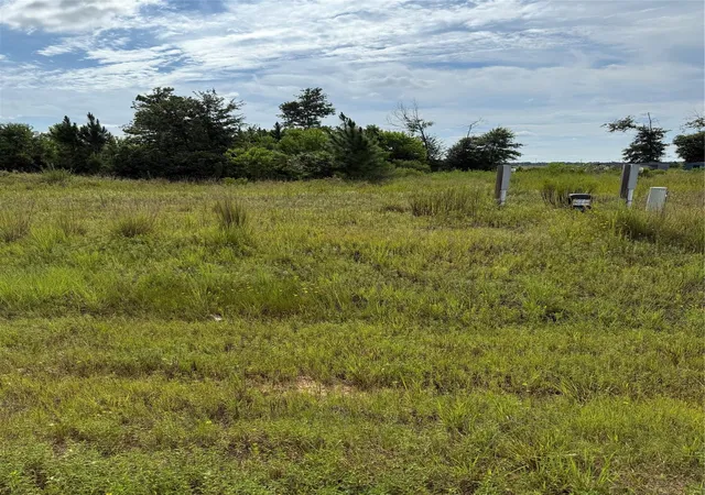 Photo 3 of Land for sale at 298 Road 5601, Cleveland, TX 77327 | MLS# 94544197 | Listing updated on 2026-05-24