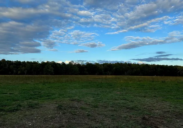 Photo 1 of Land for sale at 0000 Magee Bnd Loop, Groveton, TX 75845 | MLS# 25564496 | Listing updated on 2026-07-20