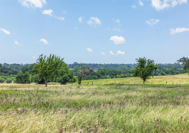 3rd image of 000 Mustang Rd, Brenham, TX 77833 | MLS# 86026841