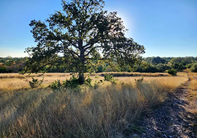 Homes for sale in Vanderpool, TX | 1332 Short Rd, Vanderpool, TX 78885 | MLS# 12585179