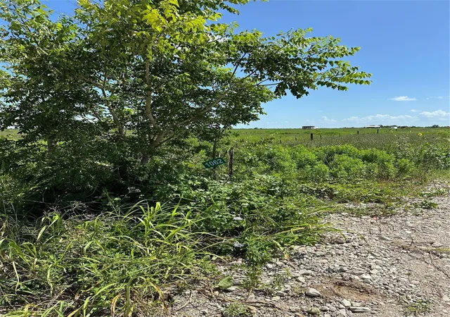 Photo 4 of Land for sale at Tbd Beal Rd, Eagle Lake, TX 77434 | MLS# 84888241 | Listing updated on 2026-08-28
