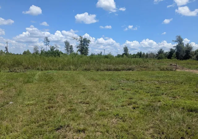 5th image of 1192 Road 5823, New Caney, TX 77357 | MLS# 23708691