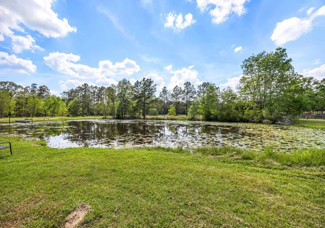 2nd image of 167 County Road 3185, Cleveland, TX 77327 | MLS# 30870817
