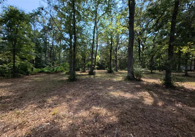 Photo 1 of Land for sale at 5 River Terrace Rd, Huffman, TX 77336 | MLS# 71710824 | Listing updated on 2026-08-25