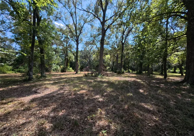 Photo 3 of Land for sale at 5 River Terrace Rd, Huffman, TX 77336 | MLS# 71710824 | Listing updated on 2026-08-25