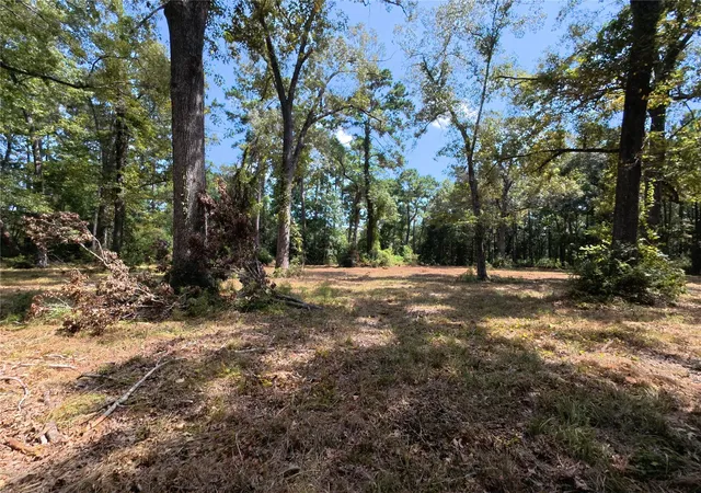 Photo 3 of Land for sale at 5 River Terrace Rd, Huffman, TX 77336 | MLS# 71710824 | Listing updated on 2026-08-25