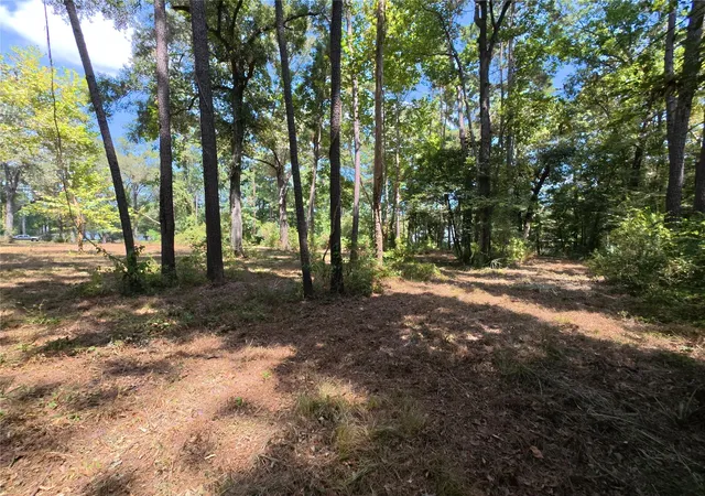 Photo 4 of Land for sale at 5 River Terrace Rd, Huffman, TX 77336 | MLS# 71710824 | Listing updated on 2026-08-25