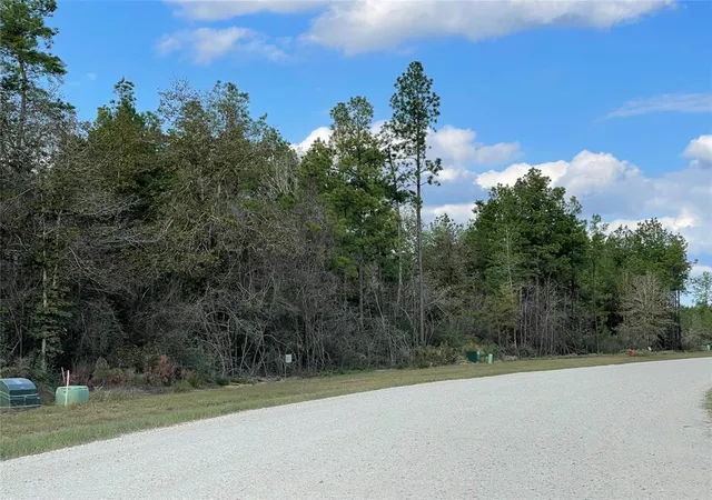Photo 3 of Land for sale at 11756 Grand North Rd, Willis, TX 77378 | MLS# 95759520 | Listing updated on 2026-10-08