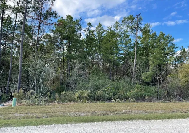 Photo 4 of Land for sale at 11756 Grand North Rd, Willis, TX 77378 | MLS# 95759520 | Listing updated on 2026-10-08