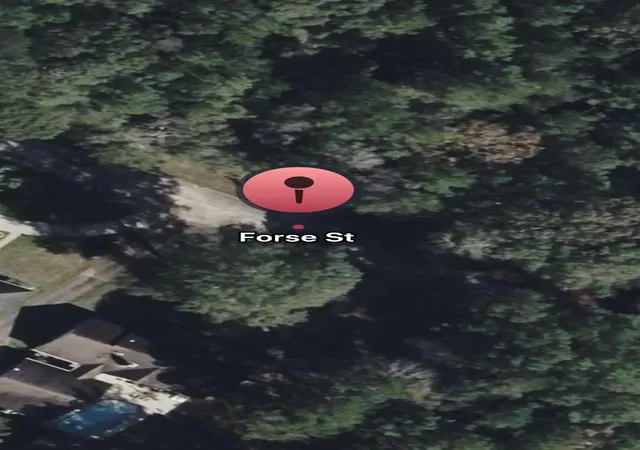 1st image of Tbd Forse St, Woodville, TX 75979 | MLS# 22760066