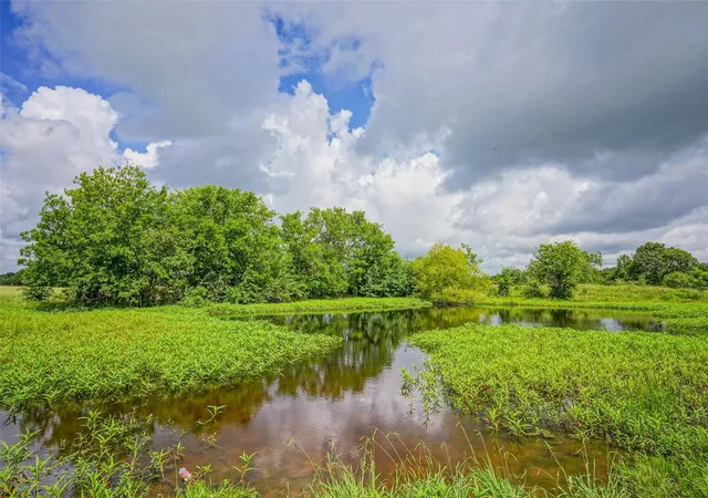 Homes for sale in Richards, TX | 8263 County Road 179, Richards, TX 77873 | MLS# 98759069