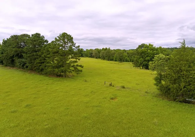 Homes for sale in Elkhart, TX | 1 Fm 323, Elkhart, TX 75839 | MLS# 48935846