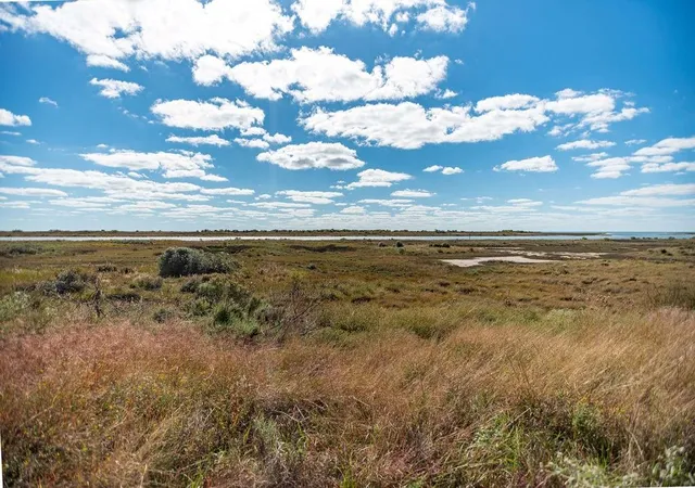 2nd image of Lot 110 Coastal Springs Springs, Port O Connor, TX 77982 | MLS# 60614173