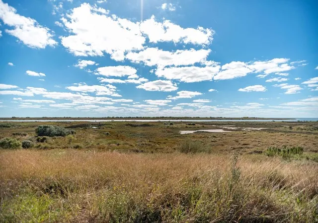 5th image of Lot 110 Coastal Springs Springs, Port O Connor, TX 77982 | MLS# 60614173