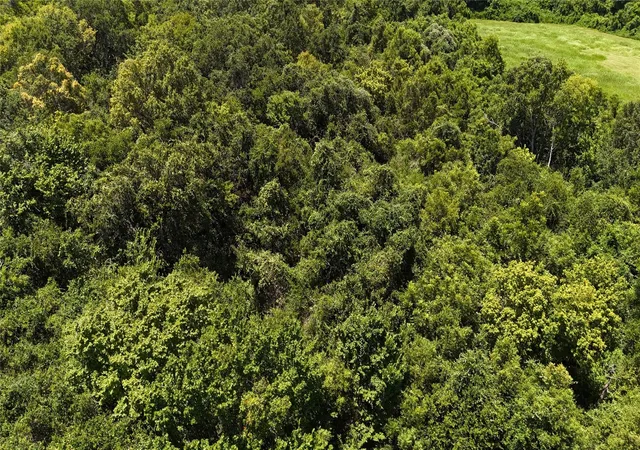 Photo 1 of Land for sale at Tbd County Rd 42 Lots 2a5 2a6, Rosharon, TX 77583 | MLS# 45110593 | Listing updated on 2026-08-18