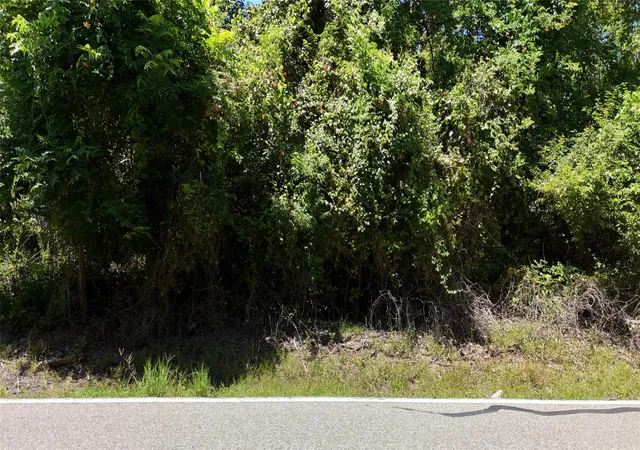 Photo 2 of Land for sale at Tbd County Rd 42 Lots 2a5 2a6, Rosharon, TX 77583 | MLS# 45110593 | Listing updated on 2026-08-18