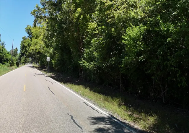 Photo 3 of Land for sale at Tbd County Rd 42 Lots 2a5 2a6, Rosharon, TX 77583 | MLS# 45110593 | Listing updated on 2026-08-18