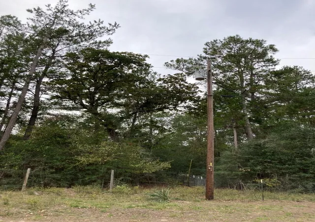 Photo 1 of Land for sale at 16596 Camelia Ln, Plantersville, TX 77363 | MLS# 83483746 | Listing updated on 2026-09-01