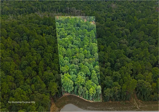 Photo 1 of Land for sale at 15389 Woodlife Rd, Willis, TX 77378 | MLS# 62201449 | Listing updated on 2026-09-03