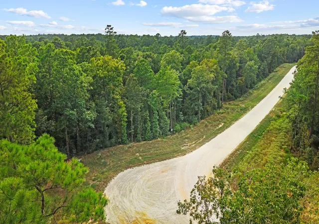 Photo 2 of Land for sale at 15389 Woodlife Rd, Willis, TX 77378 | MLS# 62201449 | Listing updated on 2026-09-03
