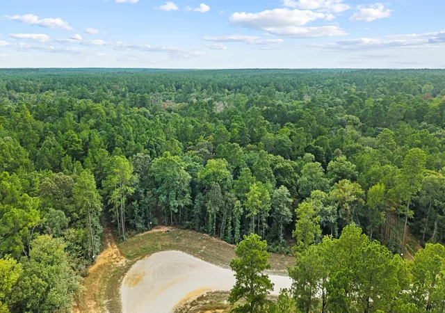 Photo 2 of Land for sale at 15389 Woodlife Rd, Willis, TX 77378 | MLS# 62201449 | Listing updated on 2026-09-03