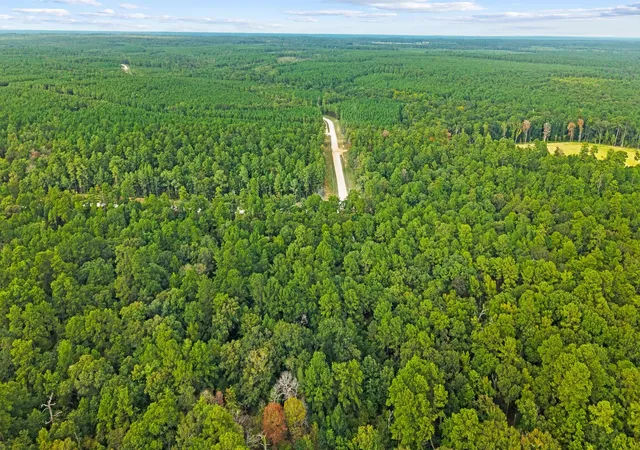 Photo 3 of Land for sale at 15389 Woodlife Rd, Willis, TX 77378 | MLS# 62201449 | Listing updated on 2026-09-03