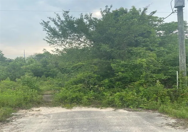 Photo 3 of Land for sale at 19050 Fm 1314 Rd, Conroe, TX 77302 | MLS# 36817466 | Listing updated on 2026-08-19