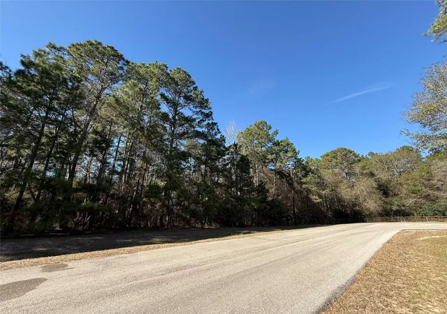 2nd image of 272303 Hitching Post Ct, Magnolia, TX 77355 | MLS# 46265733